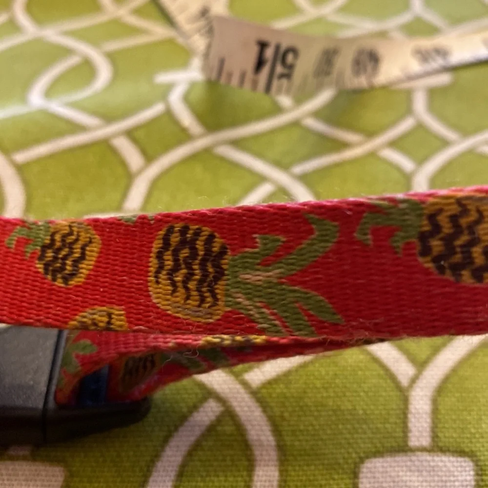 Azusa pink with pineapple dog collar.5/8” wide 12” to 17” neck size